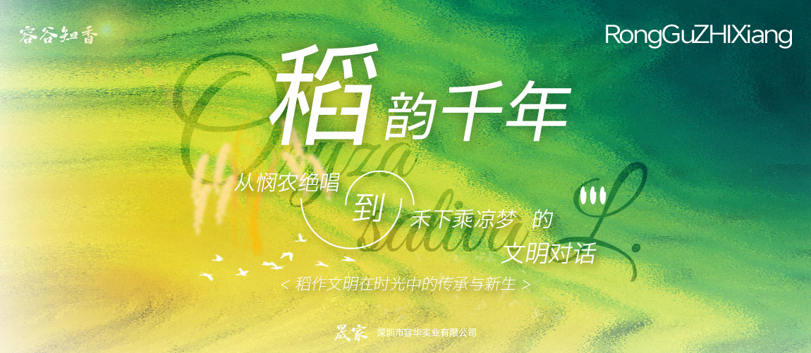 稻韵千年：从悯农绝唱到禾下乘凉梦的文明对话